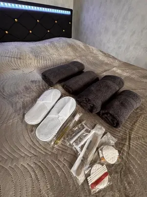 Plan de l'établissement appartement 2 chambres,1 salon avec cuisine