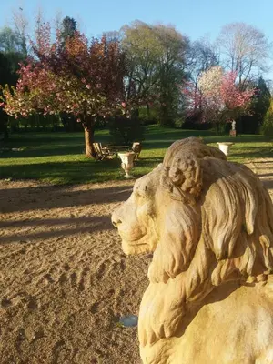 Animaux dans l'hôtel ou à proximité