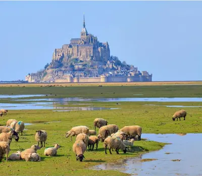 Paysage naturel près de la maison de vacances