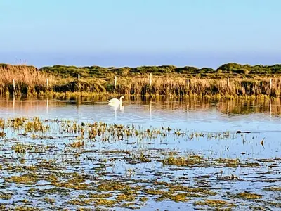 Paysage naturel près de la maison de vacances