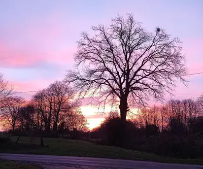 Lever ou coucher de soleil vu de l'appartement ou à proximité
