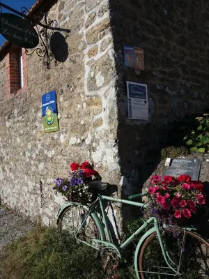 Vélo sur le terrain de l'établissement Cap 1 ou dans les environs