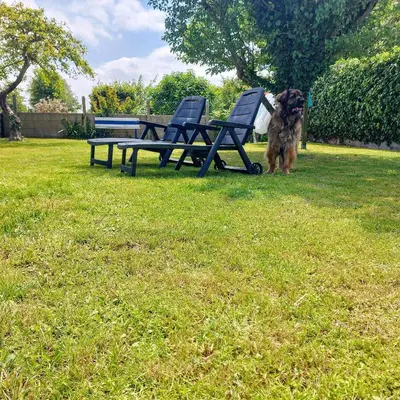 Jardin de l'établissement Petite maison de vacances