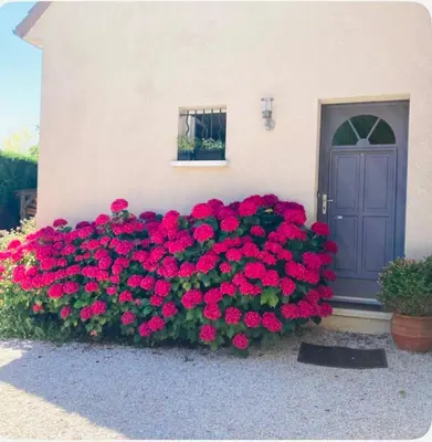 Jardin de l'établissement Le Petit Cosy King Size Bed, Calme et Parking privé