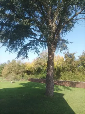 Jardin de l'établissement L'émeraude