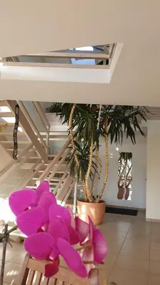 Plan de l'établissement Maison d'architecte proche de Caen