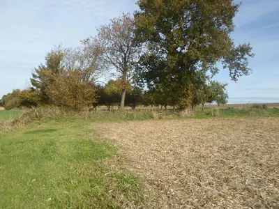 Paysage naturel près de le camping