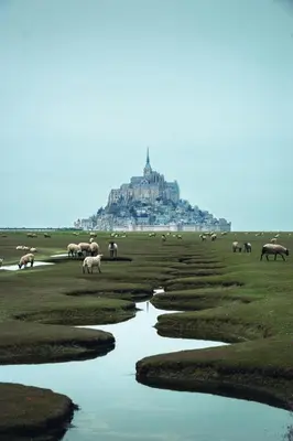 Paysage naturel près de la maison de vacances