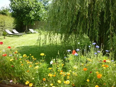 Jardin de l'établissement La Roseliére