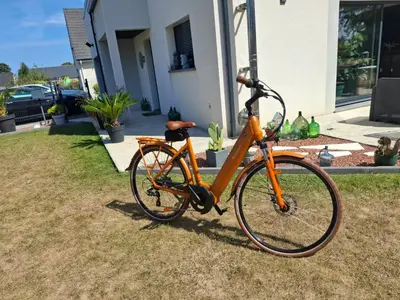 Vélo sur le terrain de l'établissement Maisonnette Rétro Loc ou dans les environs