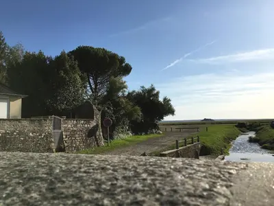 Paysage naturel près de la maison de vacances