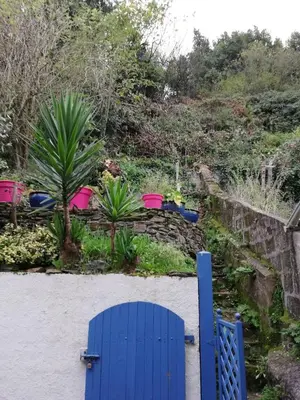 Jardin de l'établissement Maison de pêcheur sur le port