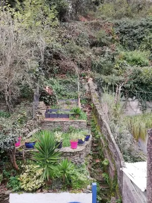 Jardin de l'établissement Maison de pêcheur sur le port