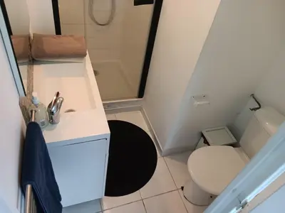 Salle de bains dans l'établissement Un nid cosy sous les toits