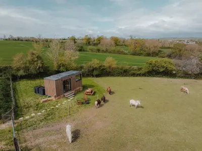 Plan de l'établissement Parcel Tiny House I Pommiers