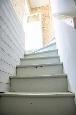 Plan de l'établissement Maison de ville avec jardin