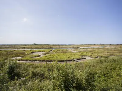 Paysage naturel près de l'appartement