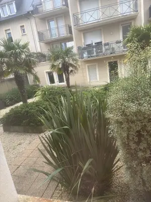 Jardin de l'établissement Appartement 4 personnes rue de la mer