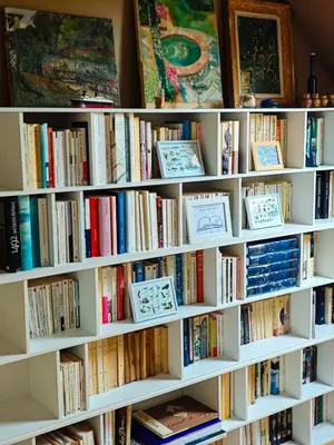 Bibliothèque dans la maison de vacances