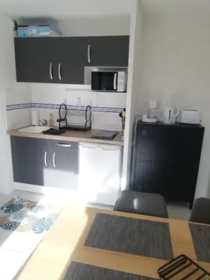 Cuisine ou kitchenette dans l'établissement Appartement avec jardin à 50 m de la plage et 2 vélos inclus