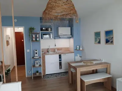 Cuisine ou kitchenette dans l'établissement Studio Cosy