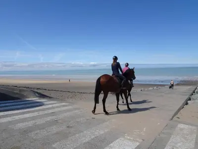 Animaux dans la maison de vacances ou à proximité