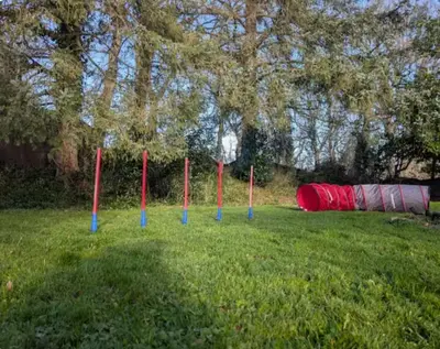 Jardin de l'établissement La Martine Petfriendly