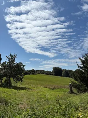 Paysage naturel près de l'appartement
