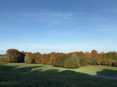 Paysage naturel près de l'appartement