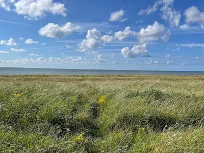 Paysage naturel près de la maison de vacances