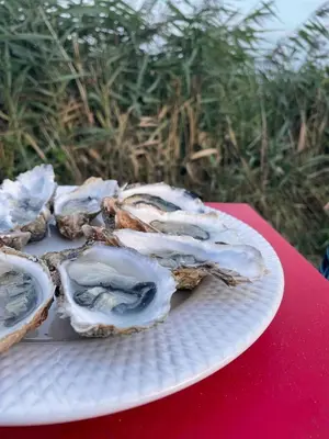 Plan de l'établissement Week end romantique en Normande dans une cabane en front de mer