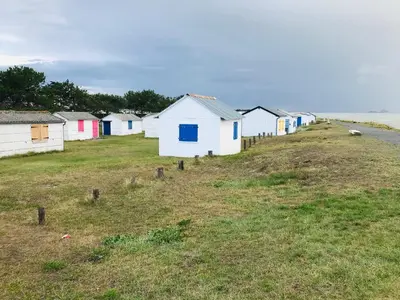 Paysage naturel près de le camping