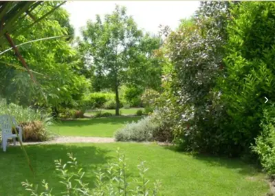 Jardin de l'établissement Jay's and Finchs