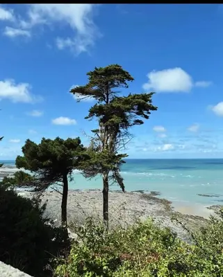 Paysage naturel près de l'appartement