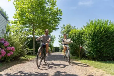 Vélo sur le terrain de l'établissement Cottage 6p 3Bdrms ou dans les environs