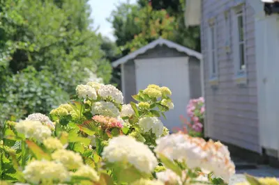 Jardin de l'établissement Norwegian Wooden House Near Carteret's Dunes
