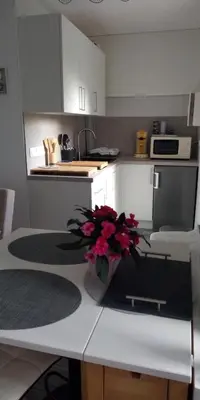 Cuisine ou kitchenette dans l'établissement STUDIO COSY avec JARDINET