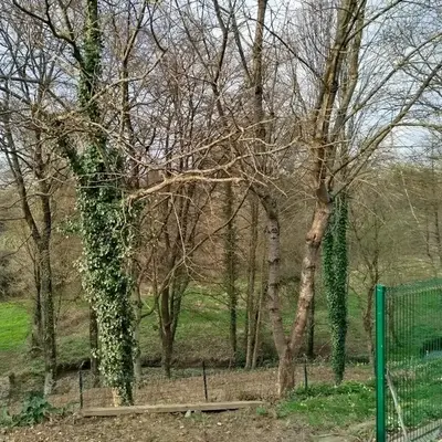 Le Célina