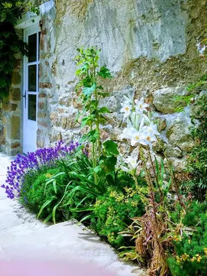 Jardin de l'établissement Chambre d'hôtes La Meauffre à la porte de Granville