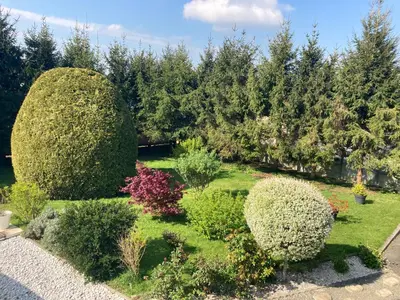 Jardin de l'établissement Maison Mama Neko