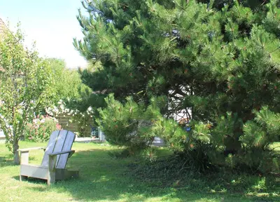Clients de l'établissement Between the dunes and the sea