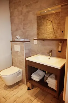 Salle de bains dans l'établissement Hôtel de France Vire