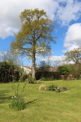 Jardin de l'établissement Le Clos Louisiane