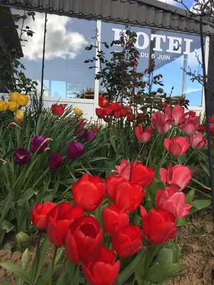 Jardin de l'établissement Hotel du 6 juin