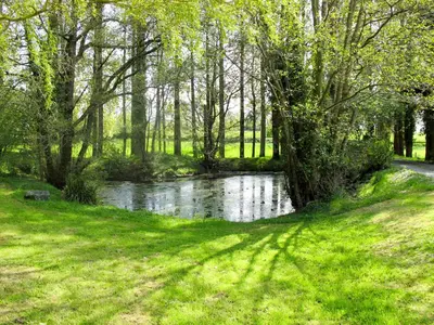 Paysage naturel près de la maison de vacances