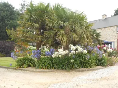 Jardin de l'établissement Maison Brix