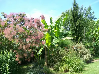 Jardin de l'établissement Les Rhodos
