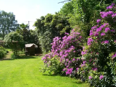 Jardin de l'établissement Les Rhodos