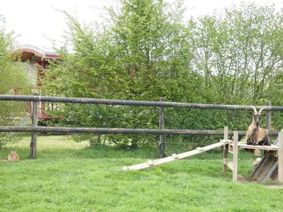 Jardin de l'établissement La Roulotte des Matis