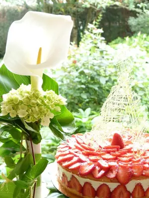 Nourriture dans l'hôtel ou à proximité